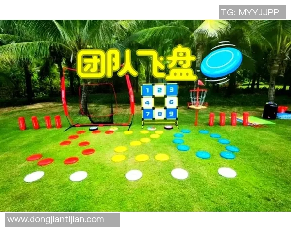 飞盘飞扬：南京飞盘队的成长与突破之路全景纪实